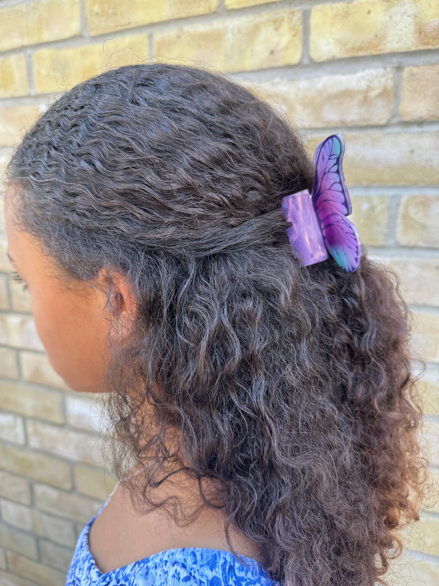 Purple Big Butterfly Hair Clip