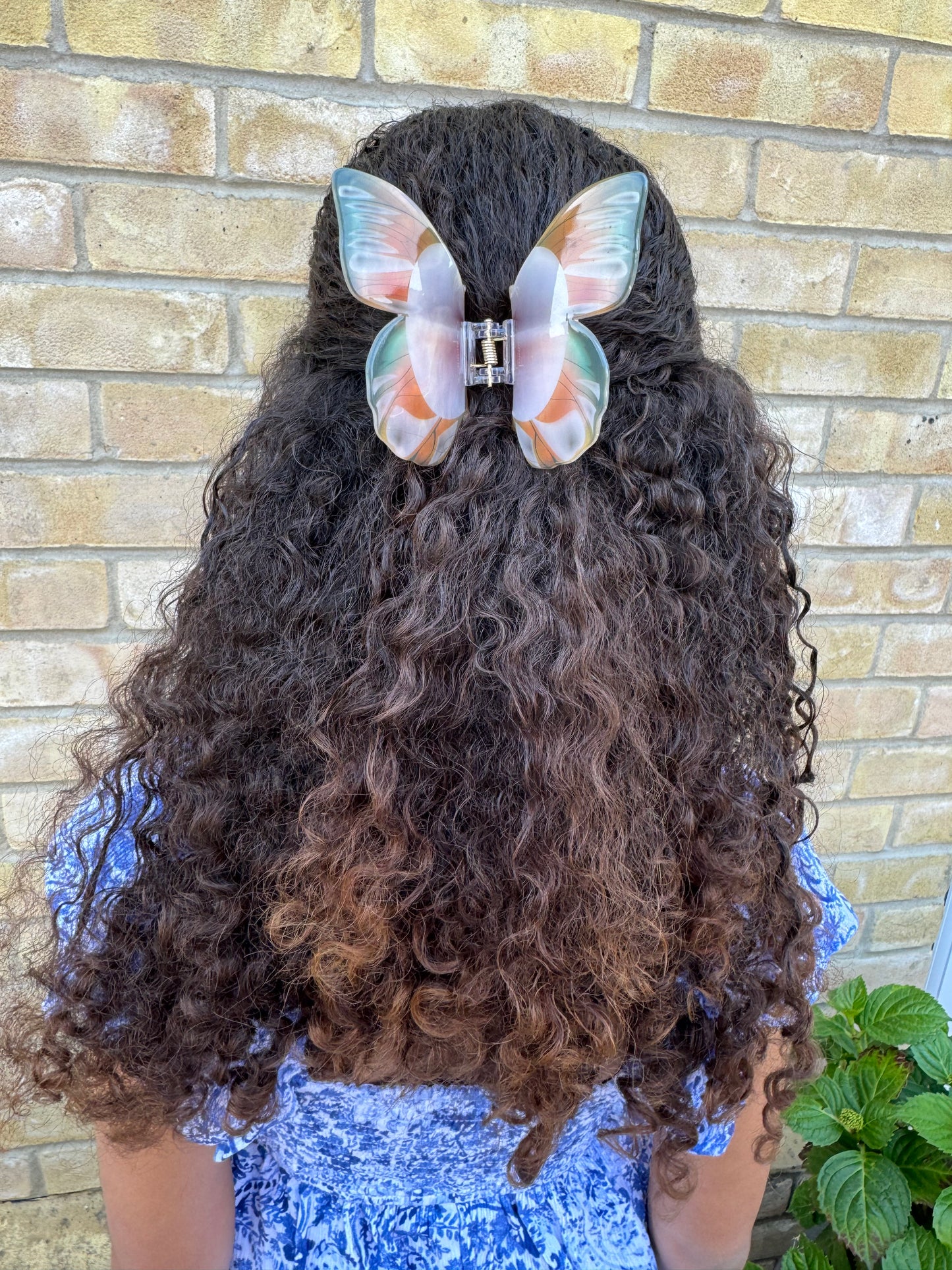 Green & Orange Big Butterfly Hair Clip